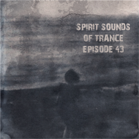 VA - Spirit Sounds of Trance [43] (2024) MP3