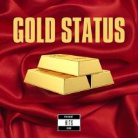 VA - Gold Status - The Best Hits Ever (2024) MP3