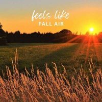 VA - feels like fall air (2024) MP3