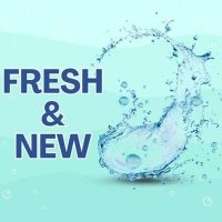 VA - Fresh & New (2024) MP3