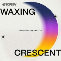 VA - Waxing Crescent: I trust every step that I take (2024) MP3