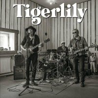 Tigerlily And Dave Lindholm - Tigerlily (2024) MP3