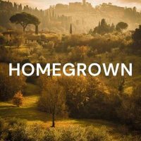 VA - Homegrown (2024) MP3