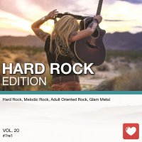 VA - I Love Music! - Hard Rock Edition Vol.20 (2016) MP3