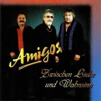 Amigos - Zwischen Liebe Und Wahnsinn (2000) MP3