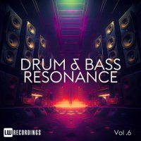 VA - Drum & Bass Resonance, Vol. 06 (2024) MP3