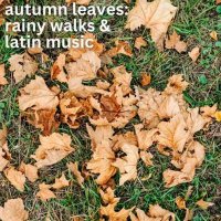 VA - autumn leaves: rainy walks & latin music (2024) MP3