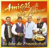 Amigos & Die Ladiner - Es Lebe Die Freundschaft (2008) MP3