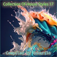 VA - Collection Of House Styles 17 [Compiled by tokarilo] (2024) MP3