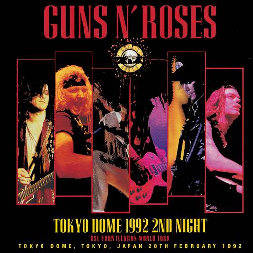 Guns N Roses - 3 Lives Albums [HQ Remastered] (1991-1993/2024) MP3