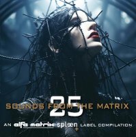 VA - Sounds From The Matrix 025 (2024) MP3