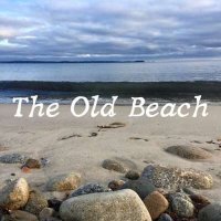 VA - The Old Beach (2024) MP3