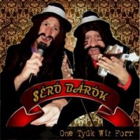 S&#233;r&#243; B&#225;r&#243;k - One Ty&#250;k W&#237;z Forr (2010) MP3