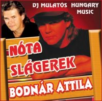 Bodnr Attila - Nta Slgerek (2013) MP3