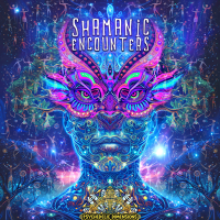 VA - Shamanic Encounters (2024) MP3