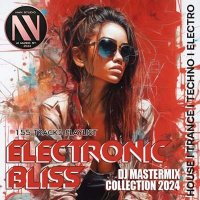 VA - Electronic Bliss (2024) MP3