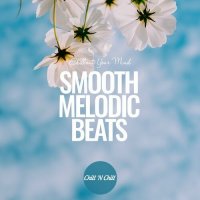 VA - Smooth Melodic Beats: Chillout Your Mind (2023) MP3