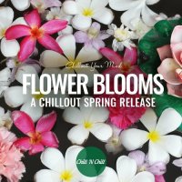 VA - Flower Blooms: Chillout Your Mind (2023) MP3