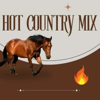 VA - Hot Country Mix (2024) MP3