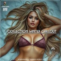 VA - Collection Winter Chillout (2024) MP3