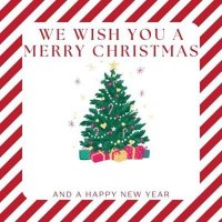 VA - we wish you a merry christmas and a happy new year (2024) MP3