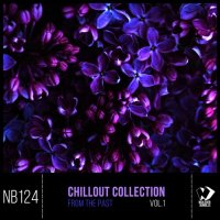 VA - Chillout Collection From The Past Vol 1 (2019) MP3