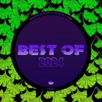 VA - Best Of 2024 (2025) MP3