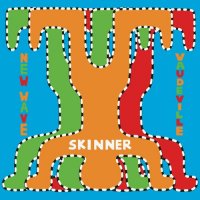 Skinner - New Wave Vaudeville (2025) MP3