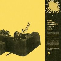 Peel Dream Magazine - Modern Meta Physic [Deluxe Edition] (2025) MP3