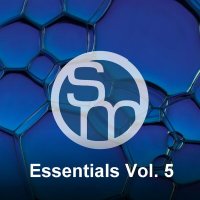 VA - Syncmusic. Essentials, Vol. 5 (2024) MP3