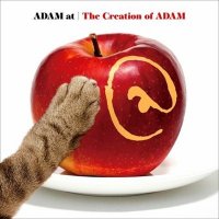 ADAM at - The Creation of ADAM (2025) MP3