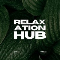 VA - Relaxation Hub, Vol 4 (2025) MP3
