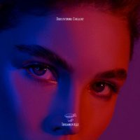 VA - Discovering Chillout (2024) MP3