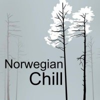 VA - Norwegian Chill (2025) MP3