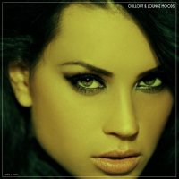 VA - Chillout & Lounge Moods (2025) MP3