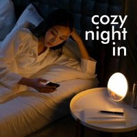 VA - cozy night in (2025) MP3