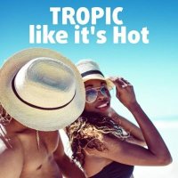 VA - Tropic like it's Hot (2025) MP3