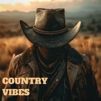 VA - Country Vibes (2025) MP3