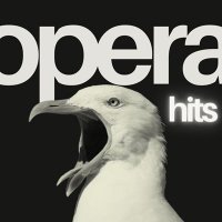 VA - Opera Hits (2025) MP3
