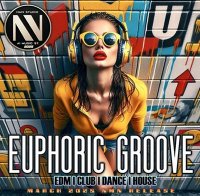 VA - EDM Euphoric Groove (2025) MP3