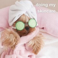 VA - doing my skincare (2025) MP3