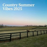 VA - Country Summer Vibes (2025) MP3