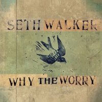 Seth Walker - Why The Worry (2025) MP3