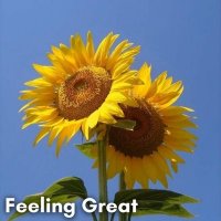 VA - Feeling Great (2025) MP3