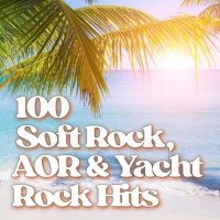 VA - 100 Soft Rock, AOR & Yacht Rock Hits (2025) MP3