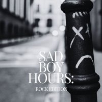 VA - Sad Boy Hours: Rock Edition (2025) MP3
