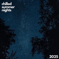 VA - Chilled Summer Nights (2025) MP3