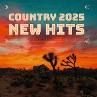 VA - Country 2025 New Hits (2025) MP3