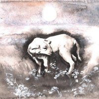 Birth Of The Shepherd - Foreshadowed (2025) MP3