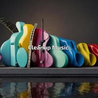 VA - 2025 Cleanup Music (2025) MP3
